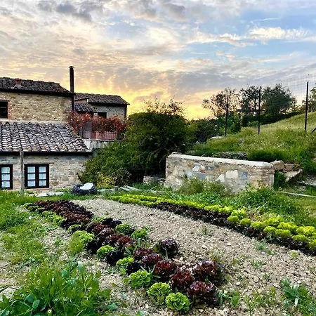Fattoria Casa Sola カントリーハウス *
