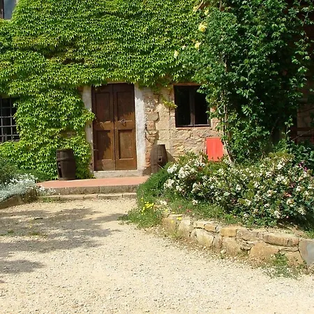 Fattoria Casa Sola